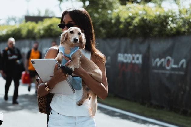 May 16, 2025, Imola, Bologna, Italy: ALEXANDRA SAINT MLEUX (CHARLES LECLERC partner) with their dog LEO entering the Formula 1 paddock at the Emilia-Romgna Grand Prix 2025 Imola Italy - ZUMAr193 20250516_zsp_r193_007 Copyright: xSaraxRuffonix