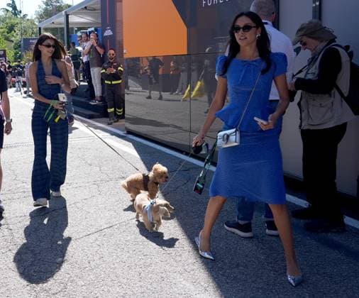 17.05.2025, Autodromo Enzo e Dino Ferrari, Imola, Formel 1 Grand Prix Emilia Romagna 2025 ,im Bild Francisca Cerqueira Gomes (L), Freundin von Pierre Gasly (FRA), BWT Alpine F1 Team mit Hund Simba, Alexandra Saint Mleux (R), Freundin von Charles Leclerc (MCO), Scuderia Ferrari HP mit Hund Leo. (Photo by Hasan Bratic DeFodi Images)