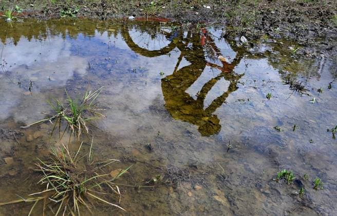 Sport Bilder des Tages Reflection of cyclist during the training for Mountain bike cross country World Cup event, Nove Mesto na Morave, Czech Republic, May 23, 2025. (CTKxPhoto LubosxPavlicek) CTKPhotoP2025052303961  CTKPhotoP2025052303961