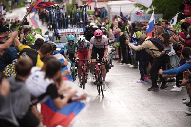 The pack rides cycles during the stage 14 of the Giro d™Italia from Treviso to Nova Gorica Gorizia, Italy - Saturday, May 24, 2025. - cycling.  Copyright: xMarcoxAlpozzi LaPressex