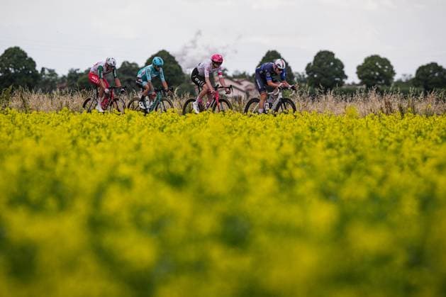 Maestri Mirco of Team Polti Visitmalta, Marcellusi Martin of Vf Group Bardianicsf-FaizaneÕ, Asgreen Kasper of Ef Education - Easypost, Davy ClŽment of Groupama-Fdj during the stage 14 of the Giro dÕItalia from Treviso to Nova Gorica Gorizia, Italy and Slovenia- Saturday, May 24, 2025. - cycling.  Copyright: xMarcoxAlpozzi LaPressex
