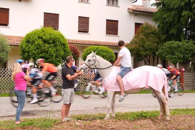 The pack during the stage 15 of the Giro d™Italia from Fiume Veneto to Asiago, Italy - Sunday, May 25, 2025. - cycling.  Copyright: xFabioxFerrari Lapressex
