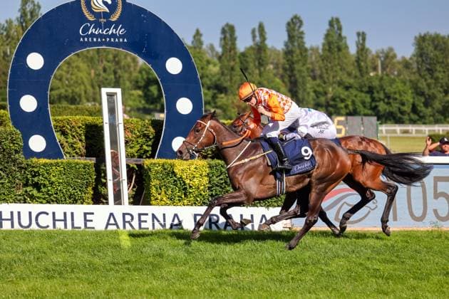 Sport Themen der Woche KW25 Sport Bilder des Tages 22.06.2025, Prag, CZE - Miss of Change with Callum Shepherd up wins the 105. Ceske Derby. Velka Chuchle racecourse. (Pferd, Jockey, Miss of Change, Shepherd, Sieg, Ziel, Zielankunft) 250622PG754PRAG.JPG *** 22 06 2025, Prague, CZE Miss of Change with Callum Shepherd up wins the 105 Ceske Derby Velka Chuchle racecourse Horse, Jockey, Miss of Change, Shepherd, victory, finish, finish 250622PG754PRAG JPG