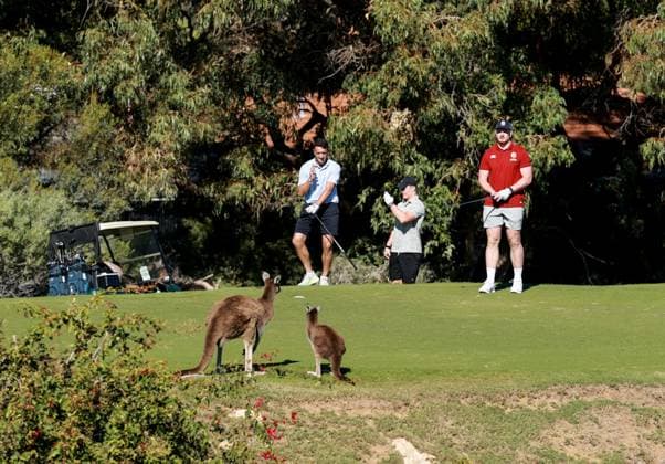 Sport Themen der Woche KW26 Sport Bilder des Tages British & Irish Lions Golf Day, Joondalup Resort, Perth, Australia 26 6 2025 Alex Mitchell, Josh van der Flier and Joe McCarthy say hello to some kangaroos Alex Mitchell, Josh van der Flier and Joe McCarthy say hello to some kangaroos 26 6 2025  Copyright: x INPHO DanxSheridanx DAN20399