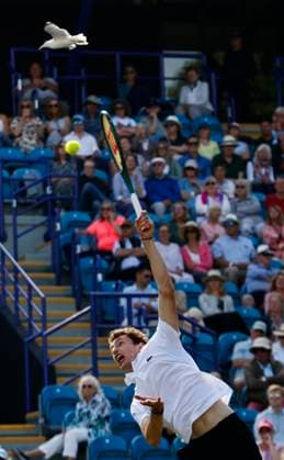 27th June 2025; Devonshire Park, Eastbourne, East Sussex, England; Lexus International Eastbourne, Day 5; Ugo Humbert (FRA) serves to Jensen Brooksby (USA) in the mens semi-finals match  ActionPlus12806118 HongboxChen