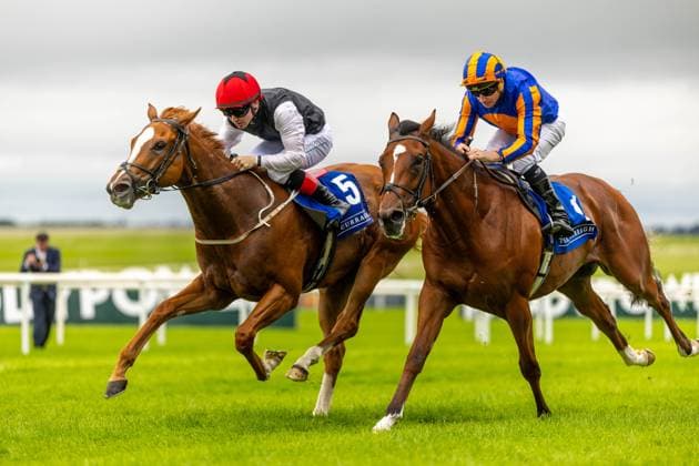 Sport Themen der Woche KW26 Sport Bilder des Tages REPRO FREE *PRESS RELEASE NO REPRODUCTION FEE* EDITORIAL USE ONLY Dubai Duty Free Irish Derby, Curragh Racecourse, The Curragh, Co. Kildare 28 6 2025 Colin Keane on Susie Songs, left, holds off Ryan Moore on Flushing Meadows to win The Jebel Ali Racecourse And Stables Anglesey Stakes (Group 3) Colin Keane on Susie Songs, left, holds off Ryan Moore on Flushing Meadows to win The Jebel Ali Racecourse And Stables Anglesey Stakes (Group 3) 28 6 2025  Copyright: x INPHO MorganxTreacyx MT2_0004