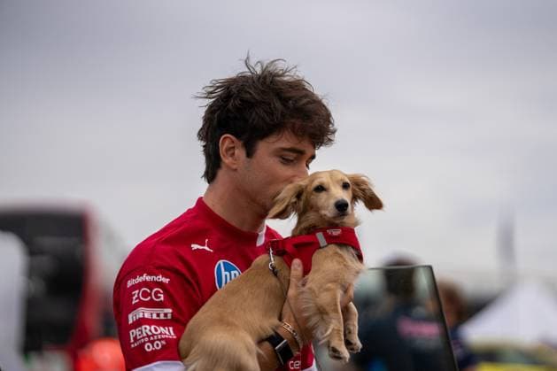 F1 British Grand Prix - UK Charles Leclerc (Mon) of Scuderia Ferrari 16 and Leo Leclerc (Dog) during the Formula 1 Qatar Airways British Grand Prix 2025 on Friday at the Silverstone International Circuit, Silverstone, England, UK on July 4, 2025. Photo by Antoine Lapeyre ABACAPRESS.COM Silverstone England United Kingdom  Copyright: xLapeyrexAntoine ABACAx