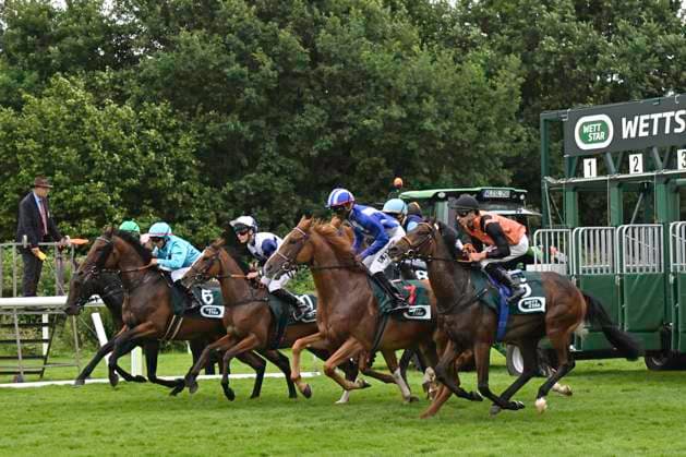 GER; Galoppderby 2025 05.07.2025, Galopprennbahn Hamburg-Horn, Galopp Derby 2025, Hanshin-Cup im Bild das Feld beim Start aus der Box *** GER Galoppderby 2025 05 07 2025, Galopprennbahn Hamburg Horn, Galopp Derby 2025, Hanshin Cup in the picture the field at the start from the pits nordphotoxGmbH xWitke nph00002
