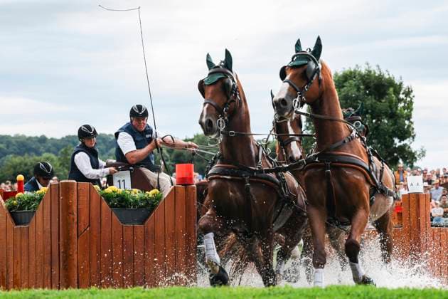 CHIO Aachen 2025; 05.07.2025 Karen Bassett beim Preis der schwartz Gruppe- Marathonprüfung für Vierspänner am 05.07.2025 beim CHIO Aachen 2025 auf dem CHIO Gelände *** CHIO Aachen 2025 05 07 2025 Karen Bassett in the Prize of the schwartz Group Marathon test for four-in-hand horses on 05 07 2025 at the CHIO Aachen 2025 on the CHIO grounds Copyright: xBEAUTIFULxSPORTS Freisenx