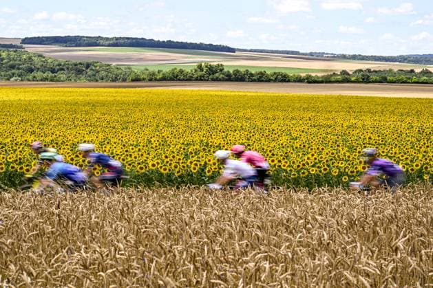 The pack of riders pictured in action during the fourth stage of the 2025 Tour de France cycling, Amien Metropole - Rouen (173 km), on Tuesday 08 July 2025 in France. The 112th edition of the Tour de France starts on Saturday 5 July in Lille, France, and will finish in Paris, France on the 27th of July. JASPERxJACOBS  x128683591x