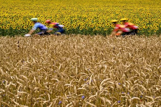 The pack of riders pictured in action during the fourth stage of the 2025 Tour de France cycling, Amien Metropole - Rouen (173 km), on Tuesday 08 July 2025 in France. The 112th edition of the Tour de France starts on Saturday 5 July in Lille, France, and will finish in Paris, France on the 27th of July. JASPERxJACOBS  x128683611x