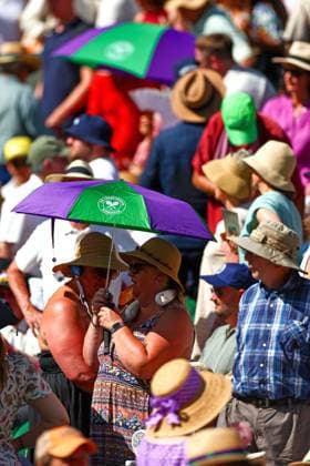 Spectators Wimbledon Tennis Championships, Day 12, The All England Lawn Tennis and Croquet Club, London, UK - 11 Jul 2025London The All England Lawn Tennis and United Kingdom  Copyright: xJamesxMarsh Shutterstockx 15392288cp