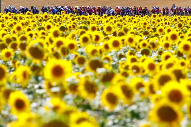 Tour de France Femmes 2025 Tour de France Femmes 2025 - 4th Edition - 5th stage Chasseneuil-du-Poitou (Futuroscope) - Gueret 165,8 Km - 30 07 2025 - Peloton - Scenery - photo Rafa Gomez SprintCyclingAgency 2025 Gueret France  Copyright: xRafaxGomezx xSprintcyclingagencyx