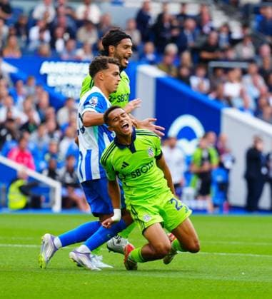 Josh King of Fulham is challenged in the box by Yasin Ayari of Brighton but no penalty was given Brighton & Hove Albion v Fulham, Premier League, Football, American Express Community Stadium, Brighton, UK - 16 Aug 2025Brighton American Express Community Stadi United Kingdom EDITORIAL USE ONLY No use with unauthorised audio, video, data, fixture lists, club league logos or live services. Online in-match use limited to 120 images, no video emulation. No use in betting, games or single club league player publications. Copyright: xJavierxGarcia Shutterstockx 15439661ar