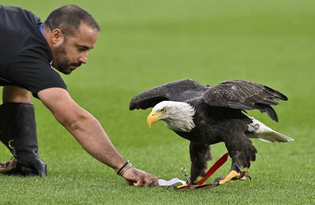 Benfica v Fenerbahce - UEFA Champions League LISBON, PORTUGAL - AUGUST 27: Benfica’s mascot eagle Vitoria is flown around the stadium ahead of the UEFA Champions League play-off second leg match against Benfica at Estadio da Luz in Lisbon, Portugal, on August 27, 2025. Burak Akbulut Anadolu Lisbon Portugal. Editorial use only. Please get in touch for any other usage.  Copyright: x2025xAnadoluxBurakxAkbulutx