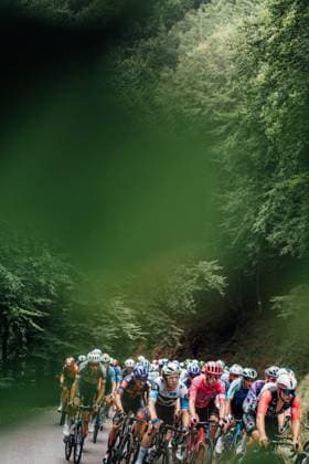 2025 Vuelta Ciclista a Espana Stage 6 Picture by Zac Williams SWpix.com - 28 08 2025 - Cycling - 2025 Vuelta Ciclista a Espana Stage 6 , Olot to Pal Arinsal Andorra, Spain Andorra - The peloton. Copyright: x xSWpix.comx(t axPhotographyxHubxLtd)xZacxWilliams SWpix.comx SWP-2645