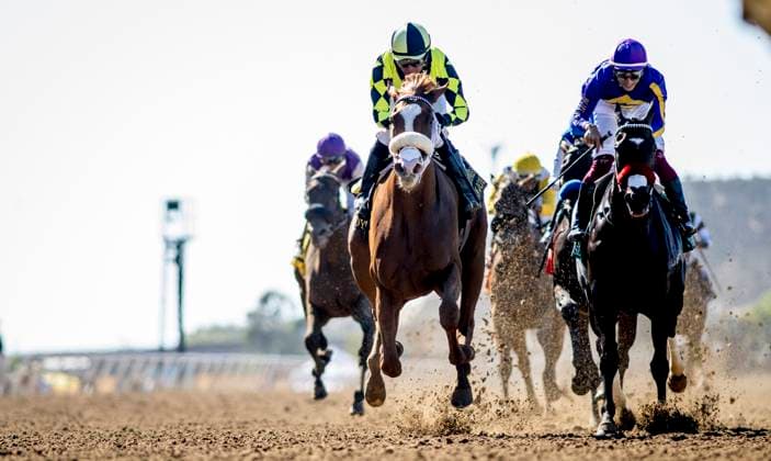 August 30, 2025, Del Mar, Ca, USA: Om N Joy (6) (outside) ridden by Kent Desormeaux wins the Torrey Pines Stakes (Grade 3) at Del Mar Thoroughbred Club in Del Mar, California on August 30, 2025. Eclipse Sportswire CSM Del Mar USA - ZUMAcs17 20250830_faf_cs17_016 Copyright: xNathanxKlinex