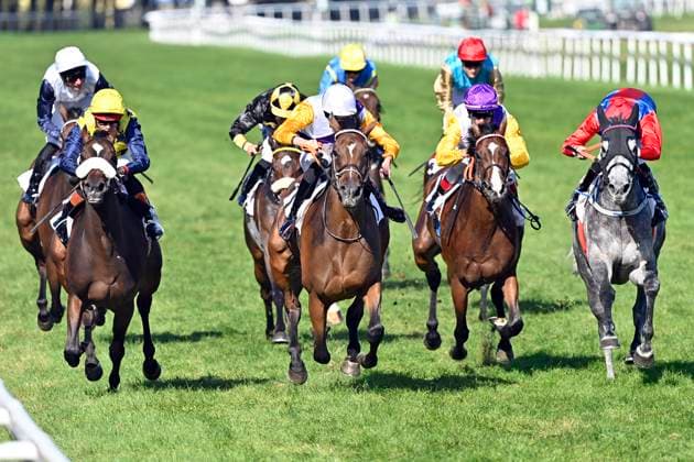 06.09.2025, Iffezheim, Baden-Wuerttemberg, GER - Egina mit Leon Wolff (weisse Kappe) gewinnt. Galopprennbahn Baden-Baden, Iffezheim. (Pferd, Jockey, Egina, Wolff, Sieg, Ziel, Zielankunft) 250906D516IFFEZHEIM.JPG *** 06 09 2025, Iffezheim, Baden Wuerttemberg, GER Egina with Leon Wolff white cap wins racecourse Baden Baden, Iffezheim horse, jockey, Egina, Wolff, victory, finish, finish 250906D516IFFEZHEIM JPG