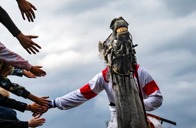 The fourth qualification for the Velka pardubicka steeplechase (5800 m, 5 years and older horses, subsidy 500.000 CZK), Pardubice, Czech Republic, September 6, 2025. Ondrej Velek on Star greets the spectators after the end of the race. (CTKxPhoto RomanxVondrous) CTKPhotoP2025090605075  CTKPhotoP2025090605075