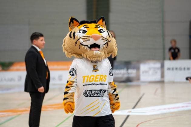 Handball I Frauen I Saison 2025-2026 I 2. Bundesliga I 3. Spieltag I VfL Waiblingen - HC Rödertal I 13.09.2025 Das Maskottchen der Waiblingen Tigers Waiblingen Rundsporthalle Baden-Württemberg Deutschland Copyright: xLobeca MaxxPetershansx