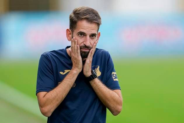 Theodoros Dedes (Trainer, Cheftrainer, TSG), Einzelbild, Einzelfoto, Aktion, Action, enttäuscht schauend, Enttäuschung, Frustration, disappointed, pessimistisch, 14.09.2025, Sinsheim (Hoffenheim) (Deutschland), Fussball, Google Pixel Frauen-Bundesliga, TSG 1899 Hoffenheim - Eintracht Frankfurt, DFB DFL REGULATIONS PROHIBIT ANY USE OF PHOTOGRAPHS AS IMAGE SEQUENCES AND OR QUASI-VIDEO.