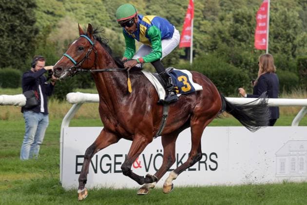 14.09.2025, Duesseldorf, Nordrhein-Westfalen, GER - Avyaan mit Eduardo Pedroza gewinnt das BBAG Auktionsrennen. Galopprennbahn Duesseldorf-Grafenberg. (Pferd, Jockey, Avyaan, Pedroza, Sieg, Ziel, Zielankunft) 250914SG992DUESSELDORF.JPG *** 14 09 2025, Duesseldorf, Nordrhein Westfalen, GER Avyaan with Eduardo Pedroza wins the BBAG Auktionsrennen Galopprennbahn Duesseldorf Grafenberg horse, jockey, Avyaan, Pedroza, victory, finish, finish 250914SG992DUESSELDORF JPG