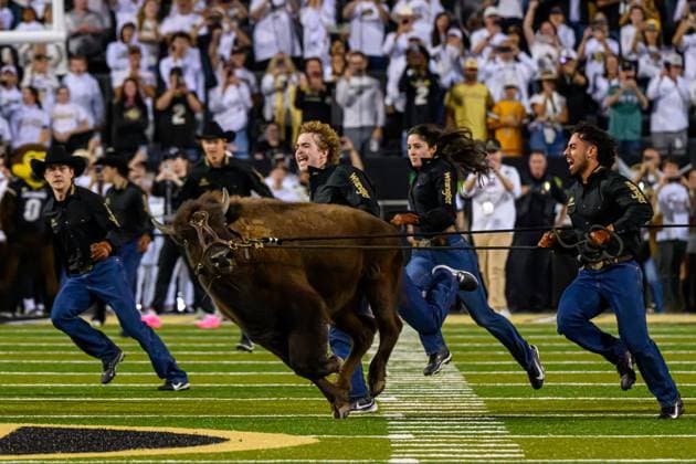 Sport Themen der Woche KW 39 September 22, 2025, Boulder, Colorado, USA: Colorado MAscot Ralphie Runs on the field before NCAA, College League, USA Football game between Wyoming Cowboys and Colorado Buffaloes at Folsom Stadium Boulder USA - ZUMAc268 20250922_zsp_c268_002 Copyright: xJamesxPatrickxCooperx