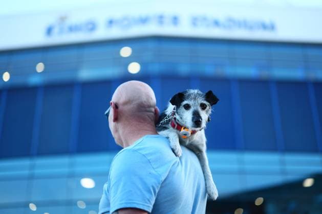 A Leicester City fan and his dog outside the stadium before the start of the match Leicester City v AFC Wrexham, Sky Bet Championship, Football, King Power Stadium, Leicester, UK - 30 Sep 2025Leicester King Power Stadium United Kingdom EDITORIAL USE ONLY No use with unauthorised audio, video, data, fixture lists, club league logos or live services. Online in-match use limited to 120 images, no video emulation. No use in betting, games or single club league player publications.  Copyright: xPaulxCurrie Shutterstockx 15504005u