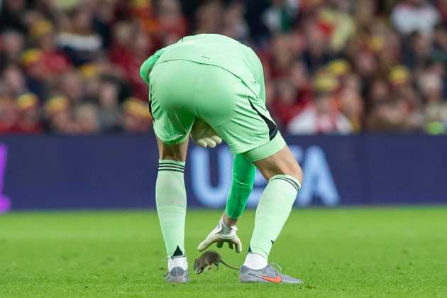 Wales v Belgium, Cardiff, UK - 13 Oct 2025 Thibaut Courtois of Belgium attempts to pick up a rat on the pitch during the World Cup Qualifier between Wales and Belgium at Cardiff City Stadium, Cardiff on 13 Oct 2025. Cardiff Cardiff City Stadium Wales GBR Copyright: xKaraxThomas PPAUKx PPA-223327