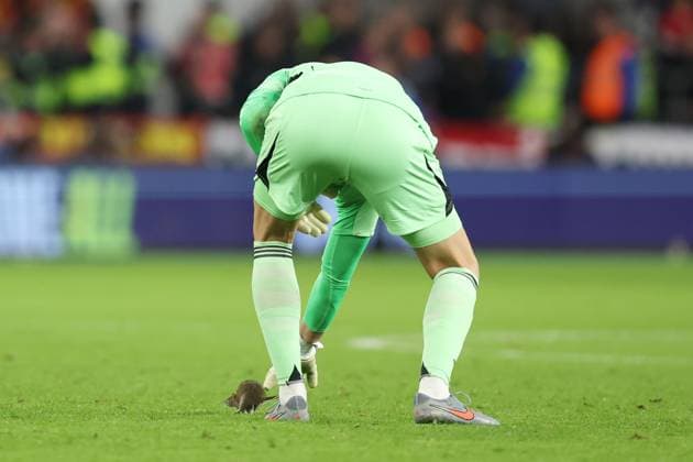 Wales v Belgium 13 October 2025, Cardiff - International Football - 2026 World Cup Qualifiers, Group J - Wales v Belgium - Belgium goalkeeper Thibaut Courtois attempts to pick up a rat which had run onto the pitch - Photo: Charlotte Wilson Offside. Cardiff UK Copyright: xCharlottexWilsonx xOffsidexOffside