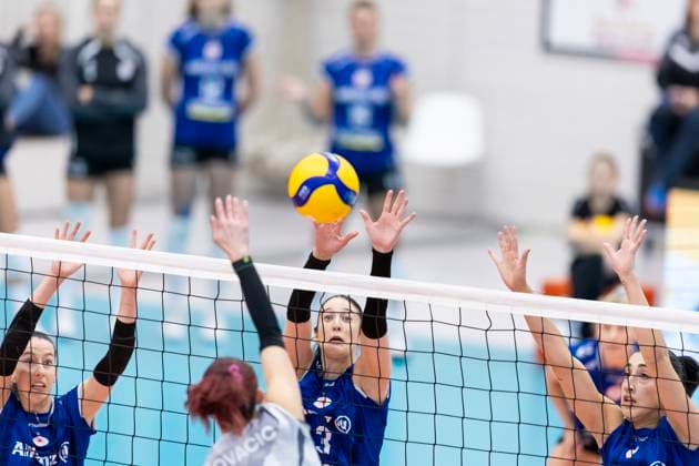 1. Volleyball Bundesliga Frauen: Schwarz-Weiss Erfurt vs. Allianz MTV Stuttgart; Erfurt; 02.11.2025 Isabel Kova?i? ( 11; Schwarz-Weiss Erfurt) gegen Lydia Grote ( 5; Allianz MTV Stuttgart) (links), Jasmine Gross ( 3; Allianz MTV Stuttgart) (Bildmitte) und Julia De Paula Viana ( 17; Allianz MTV Stuttgart) (rechts) 1. Volleyball Bundesliga Frauen: Schwarz-Weiss Erfurt vs. Allianz MTV Stuttgart; Riethsporthalle Erfurt; 02.11.2025 Copyright: xBEAUTIFULxSPORTS Duehringx