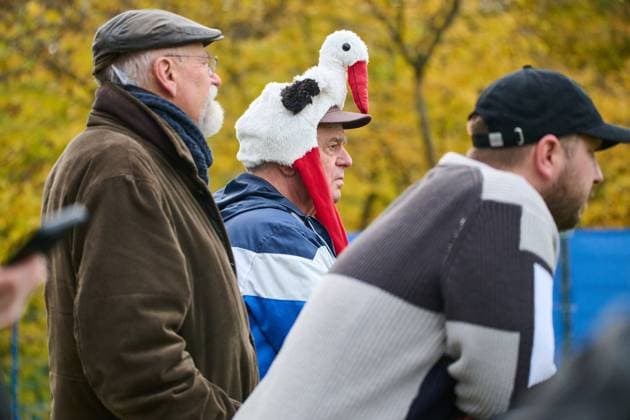 04.11.2025, Fußball, Herren, 2.BL, Saison 2025 2026, Training Holstein Kiel Fans mit Storchmütze Kiel, Projensdorf Projensdorf, Trainigsplatz, Rase Schleswig-Holstein Deutschland