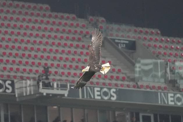 Adler fliegt ins Stadion , Frankreich, Fussball, UEFA Europa League, 4.Spieltag, Ligaphase, 2025 2026, OGC Nizza vs. SC Freiburg, 06.11.2025, Allianz Riviera, Nizza, Frankreich Nizza Allianz Riviera Provence-Alpes-CÃ te d Azur, CÃ Frankreich Copyright: xArnexAmbergx