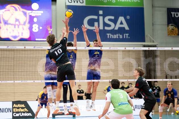 1.Volleyball Bundesliga -Saison 2025 2026 Cerebricks Volley Goats Mitteldeutschland vs.TSV Haching München Halle, Deutschland 19. November 2025: Im Bild:v.li.Patrick Rupprecht (Haching), Nick Breitenbach (Bitterfeld) und Clay Wieter (Bitterfeld) Halle Saale SWH Arena Sachsen-Anhalt Deutschland