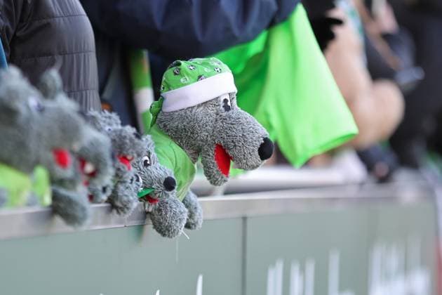 Google Pixel Frauen-Bundesliga, RB Leipzig - VfL Wolfsburg; 23.11.2025 Plüsch-Wölfe sind am Wolfsburg-Fanblock platziert. Maskottchen, Glücksbringer, Symbolbild, Feature. Fußball, Google Pixel Frauen-Bundesliga, Saison 2025 2026, 11. Spieltag: RB Leipzig vs. VfL Wolfsburg am 23.11.2025, Trainingszentrum Cottaweg, Leipzig. DFB REGULATIONS PROHIBIT ANY USE OF PHOTOGRAPHS AS IMAGE SEQUENCES AND OR QUASI-VIDEO. Copyright: xBEAUTIFULxSPORTS JanxKaeferx