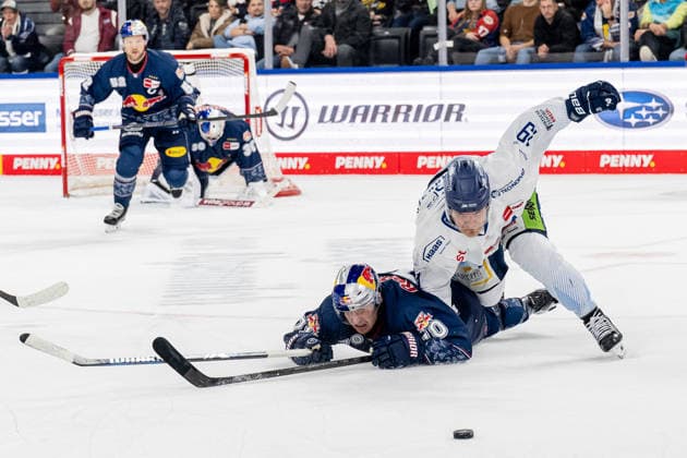 Kampf um den Puck Zweikampf zwischen Maximilian Daubner (EHC Red Bull Muenchen, 70) und Tim Brunnhuber (Straubing Tigers, 19) GER, EHC Red Bull Muenchen vs. Straubing Tigers, Eishockey, DEL, 22. Spieltag, Saison 2025 2026, 25.11.2025. GER, EHC Red Bull Muenchen vs. Straubing Tigers, Eishockey, DEL, 22. Spieltag, Saison 2025 2026, 25.11.2025. Muenchen *** Fight for the puck duel between Maximilian Daubner EHC Red Bull Muenchen, 70 and Tim Brunnhuber Straubing Tigers, 19 GER, EHC Red Bull Muenchen vs Straubing Tigers, Ice Hockey, DEL, 22 Matchday, Season 2025 2026, 25 11 2025 GER, EHC Red Bull Muenchen vs Straubing Tigers, Ice Hockey, DEL, 22 Matchday, Season 2025 2026, 25 11 2025 Muenchen Copyright: xEibner-Pressefoto HeikexFeinerx EP_HFR