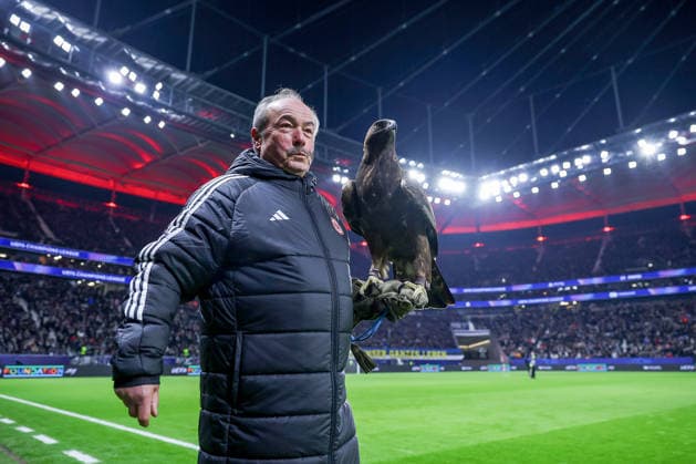 26.11.2025, Fußball, UEFA Champions League, Eintracht Frankfurt - Atalanta Bergamo, Deutsche-Bank-Park (Frankfurt am Main), 5. Spieltag, Saison 2025 2026: Das Maskottchen von Eintracht Frankfurt ist ein Steinadler namens Attila Regulations prohibit any use of photographs as image sequences and or quasi-video. Hessen Deutschland