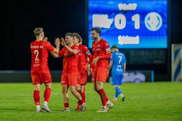 Fussball, Regionalliga Nord, BW Lohne - Bremer SV, 21. Spieltag, Spielzeit 2025 2026, 29.11.2025 jubelnde Bremer Spieler nach dem Abpfiff , Lohne Heinz-Dettmer-Stadion Niedersachsen Deutschland