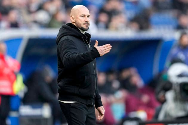 Christian Ilzer (Trainer, Cheftrainer, Hoffenheim), gibt Anweisungen, gestikuliert, mit den Armen gestikulieren, Einzelbild, Einzelfoto, Aktion, Action, 29.11.2025, Sinsheim (Deutschland), Fussball, Bundesliga, TSG 1899 Hoffenheim - FC Augsburg, DFB DFL REGULATIONS PROHIBIT ANY USE OF PHOTOGRAPHS AS IMAGE SEQUENCES AND OR QUASI-VIDEO.