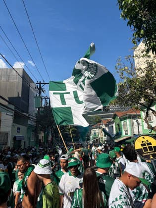 Palmeiras x Flamengo - Libertadores 2025 SAO PAULO (SP), 11 29 2025 - Palmeiras fans gather in front of Allianz Parque to watch the Copa Conmebol Libertadores final match, which is being held in Lima this Saturday (29). IMAGO Matheus Araujo Sao Paulo Brasil Copyright: xMateusxAraujox