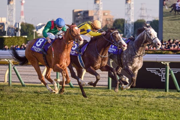 30.11.2025, Tokio, JPN - Calandagan (nearside) with Mickael Barzalona up wins the Japan Cup in record time. Fuchu racecourse. (Pferd, Jockey, Calandagan, Barzalona, Sieg, Ziel, Zielankunft) 251130PG976TOKYO.JPG *** 30 11 2025, Tokyo, JPN Calandagan nearside with Mickael Barzalona up wins the Japan Cup in record time Fuchu racecourse horse, jockey, Calandagan, Barzalona, win, finish, finish 251130PG976TOKYO JPG