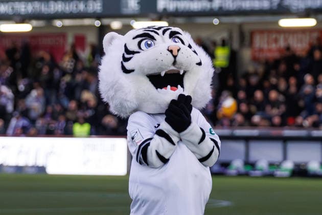 30.11.2025, xkwix, Fußball, 3. Liga, SSC Verl - VfL Osnabrück, Sportclub Arena: Manni das neue SC Verl Maskottchen mit betenden Händen Photo:xKamilxWilkowskixPressefotoKochx NRW Deutschland