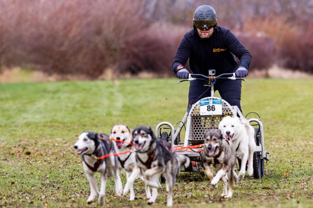 06.12.2025, GER, Schlittenhundesport, Maenner Frauen, Saison 25 26, 9.Int. Sleddog Rig Race VDSV-Qualifikationsrennen Benedikt Grafe 99869 Muehlberg Landgemeinde D Drei Gleichen Golf-Golfresort Gu Thueringen Deutschland *** 06 12 2025, GER, Sleddog sport, Men Women, Season 25 26, 9 Int Sleddog Rig Race VDSV Qualification Race Benedikt Grafe 99869 Muehlberg Landgemeinde D Drei Gleichen Golf Golfresort Gu Thueringen Germany