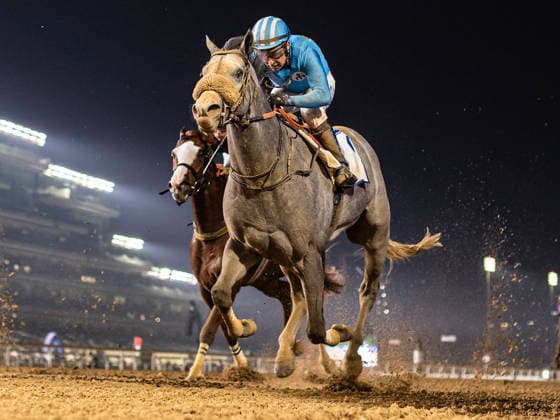 GRAY BOSS with jockey TADHG O™SHEA finishes second in Race 4 Handicap over 1600m (8 furlongs) at Meydan Racecourse in Dubai, the United Arab Emirates, December 5, 2025. Dubai United Arab Emirates  Copyright: xMARTINxDOKOUPILx 441_9957h