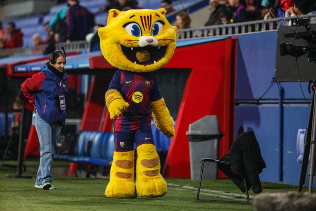 Cat before the match between FC Barcelona, Barca Womens team and SL Benfica Womens team, valid for Womens Champions League 2025 2026 at Estadi Johan Cruyff on 10 December 2025. Barcelona Estadi Johan Cruyff Barcelona Portugal Copyright: xIMAGOx xPRIMExSPORTSxIMAGESx xFILIPExOLIVEIRAx