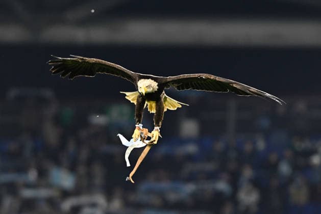 Foto IPP Cavaliere Emiliano. Roma 20 12 2025. Calcio Campionato Serie A 2025-2026. Lazio - Cremonese. Nella foto: il primo volo di Flaminia. Italy Photo Press - World Copyright italy ITALY  Copyright: xR4924_italyphotopressx