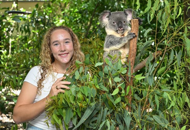 TENNIS ANDREEVA KOALA SANCTUARY, World No.9 tennis player Mirra Andreeva is seen with a Koala during a visit to Lone Pine Koala Sanctuary ahead of the Brisbane International in Brisbane, Wednesday, December 31, 2025. ( NO ARCHIVING Brisbane Queensland Australia  Copyright: xDarrenxEnglandx 20251231114744772028