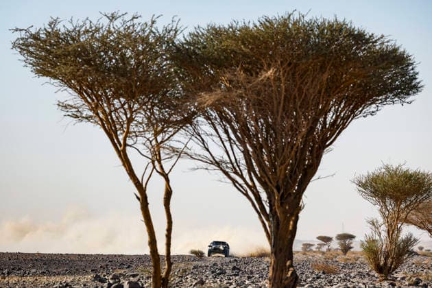 DAKAR 2026 - STAGE 9 223 MORAES Lucas (bra), ZENZ Dennis (ger), The Dacia Sandriders, Dacia, Ultimate, BF Goodrich, FIA W2RC, action during the Stage 9 of the Dakar 2026, on January 13, 2026 between Wadi Ad-Dawasir and Bivouac Refuge, Saudi Arabia - Wadi Ad-DawasirSaudi Arabia  Copyright: xJULIENxDELFOSSEx