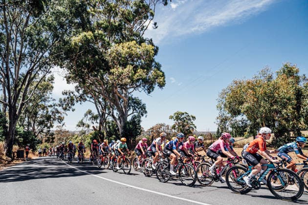 2026 Women s Tour Down Under Stage 2 Picture by Zac Williams SWpix.com - 18 01 2026 - Cycling - 2026 Women s Tour Down Under Stage 2 - Magill to Paracombe - The peloton. Copyright: x xSWpix.comx(t axPhotographyxHubxLtd)xZacxWilliams SWpix.comx SWP-2645