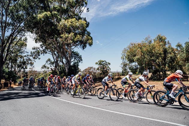 2026 Women s Tour Down Under Stage 2 Picture by Zac Williams SWpix.com - 18 01 2026 - Cycling - 2026 Women s Tour Down Under Stage 2 - Magill to Paracombe - The peloton. Copyright: x xSWpix.comx(t axPhotographyxHubxLtd)xZacxWilliams SWpix.comx SWP-2645